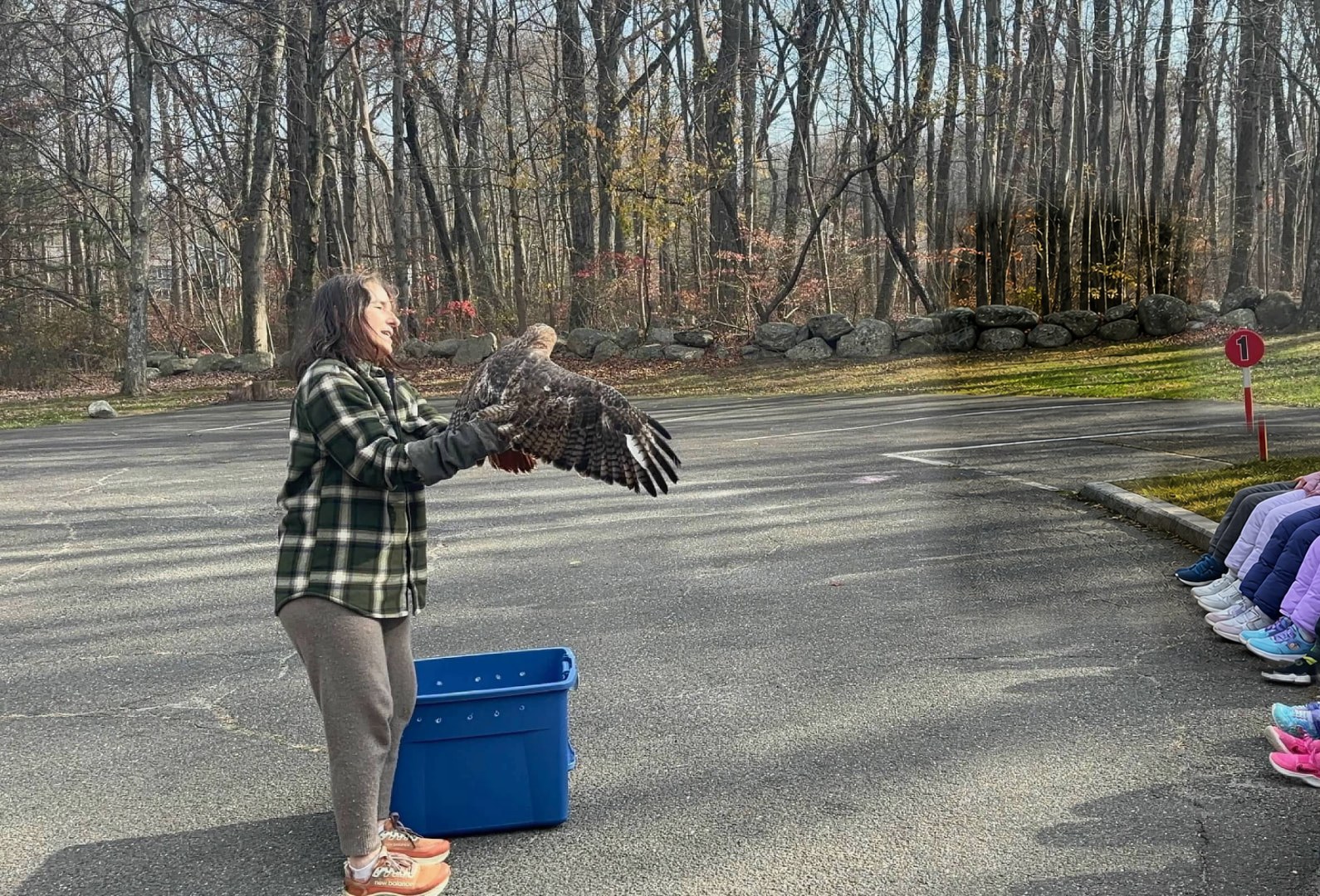 A wildlife rehabilitator holds a recovered red-tailed hawk, wings open, as students sit along the curb watching, moments before its release